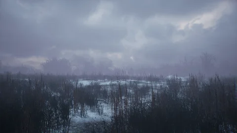 寒冷的冬季公园 - Bleak Winter Park