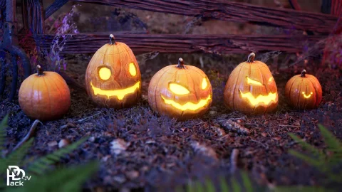 万圣节南瓜 / 150 多种变化 - Halloween Pumpkins - 150+ variations
