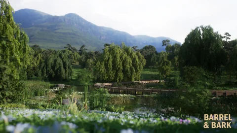 柳湖生物群系环境 Willow Lake Biome Environment