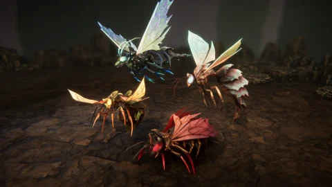 黄蜂队 Wasps pack