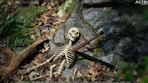 骷髅骨头 - Skeleton Bones