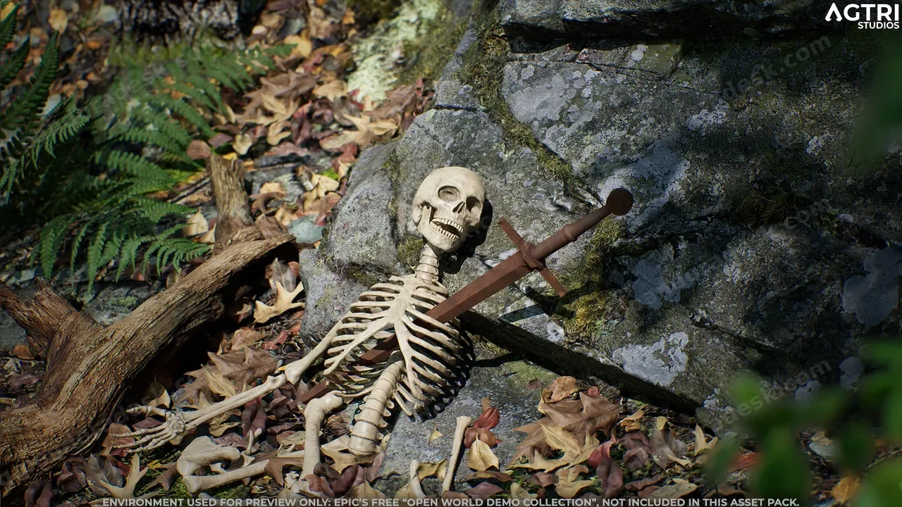 骷髅骨头 - Skeleton Bones