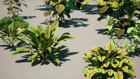 种植蔬菜 plant vegetables V2