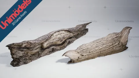 森林树干扫描包 - Forest Trunks Photoscanned