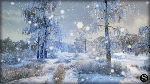 冬季森林-Winter Nature