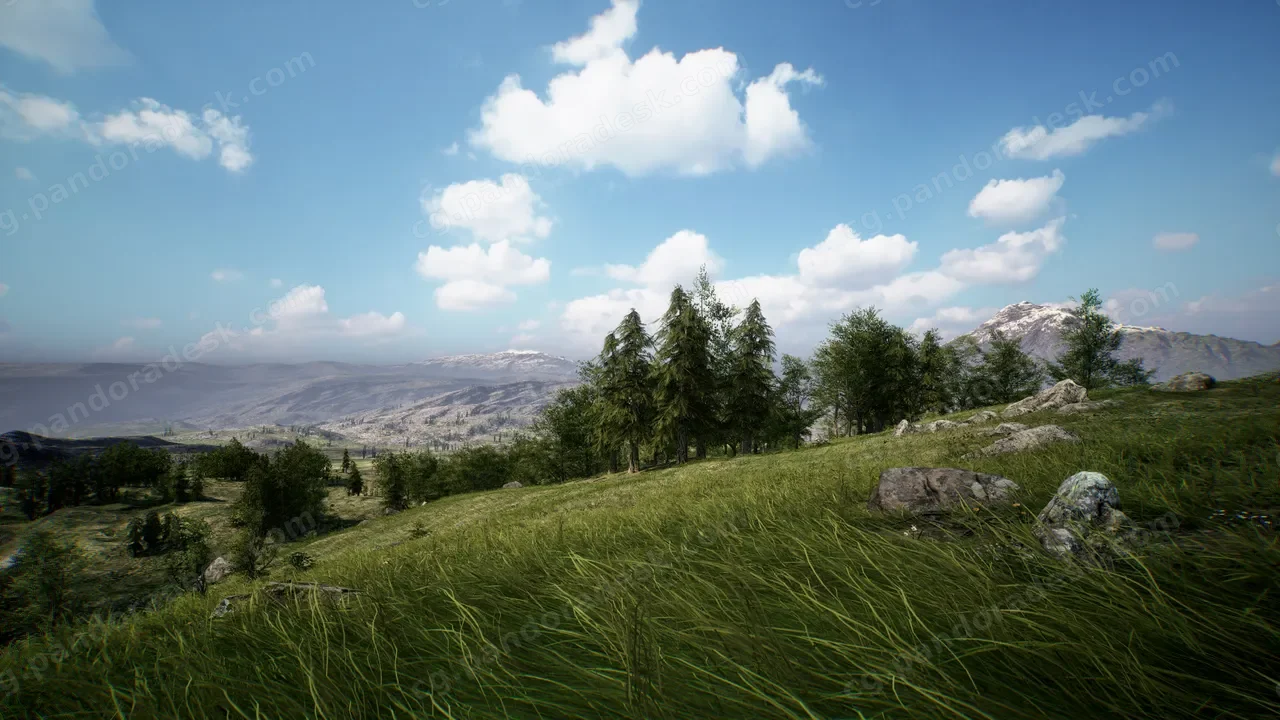 森林草地包 - Brushify - Forest Pack