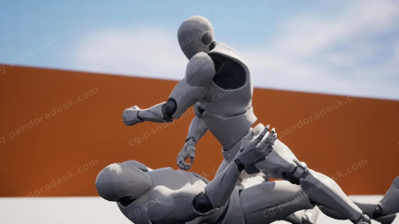 格斗动画包-MoCap Combat Animations - Dual Character