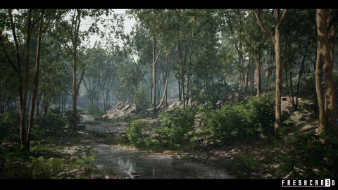 森林环境（生长着松树和热带树木的河畔森林）- Forest Environment