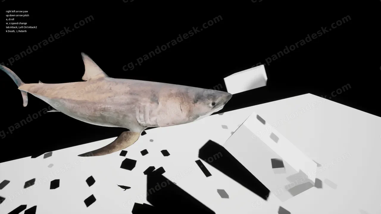 大白鲨-Great White Shark