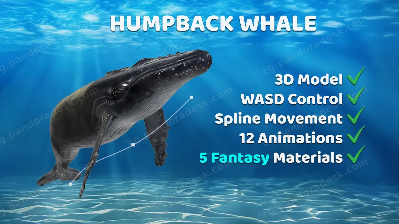 座头鲸角色模型带动画 Animated Humpback Whale