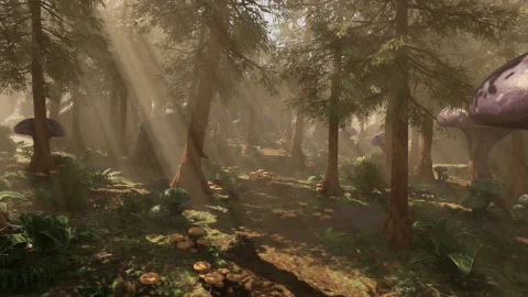 梦幻森林环境 - Fantasy Forest - Forest Environment