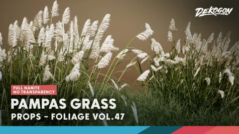 植物 VOL.47 - 蒲苇 Foliage VOL.47 - Pampas Grass
