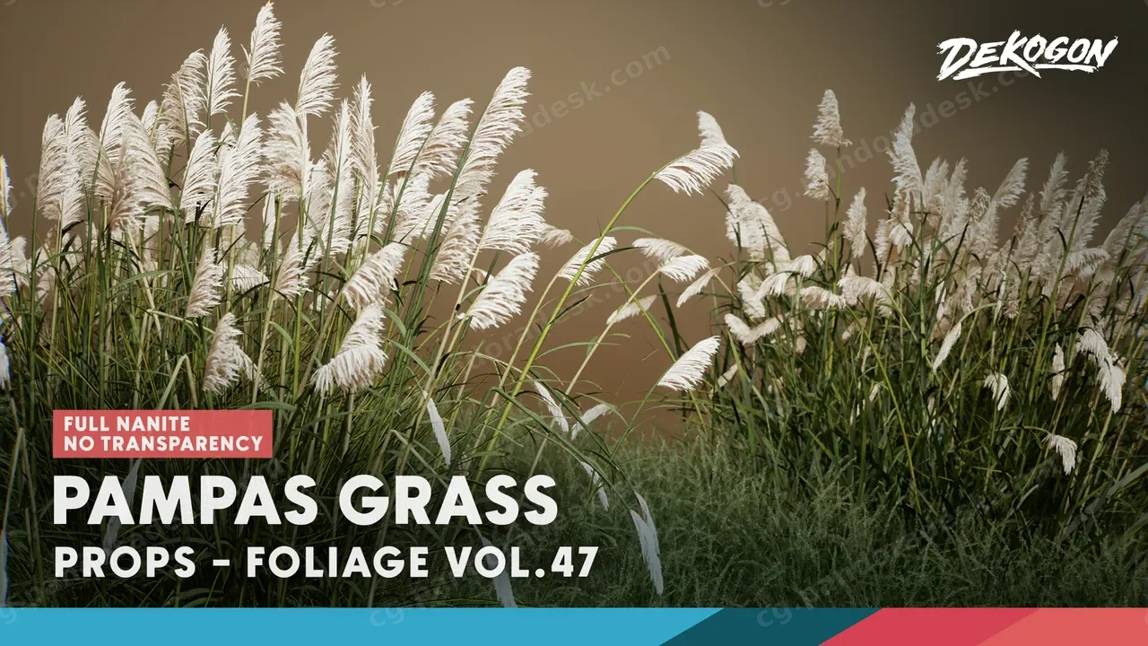 植物 VOL.47 - 蒲苇 Foliage VOL.47 - Pampas Grass