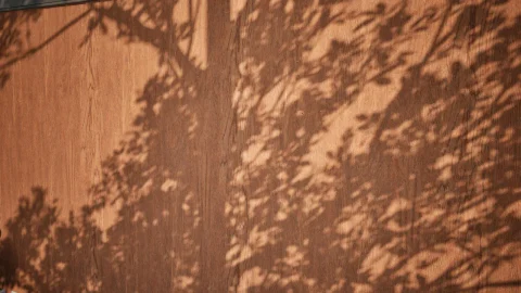 木材01 - 扫描摄影测量材料 - Wood 01 - Scanned Photogrammetry Materials