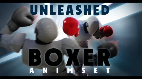 拳击手格斗拳击动画包 - Unleashed boxer AnimSet