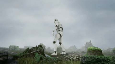 扫描树桩 - RealiScan Photogrammetry Stumps