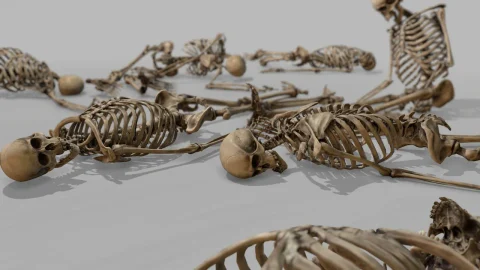 模块化人体骨骼 - Modular Human Skeleton