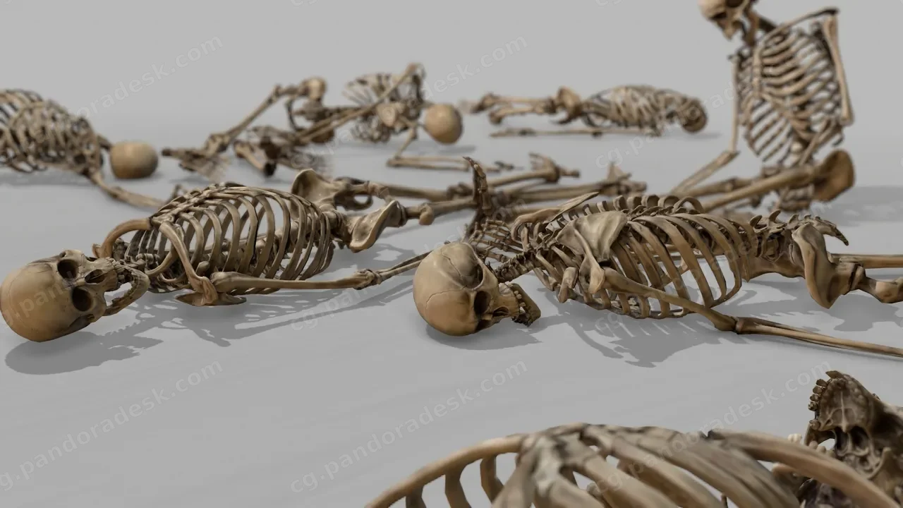 模块化人体骨骼 - Modular Human Skeleton