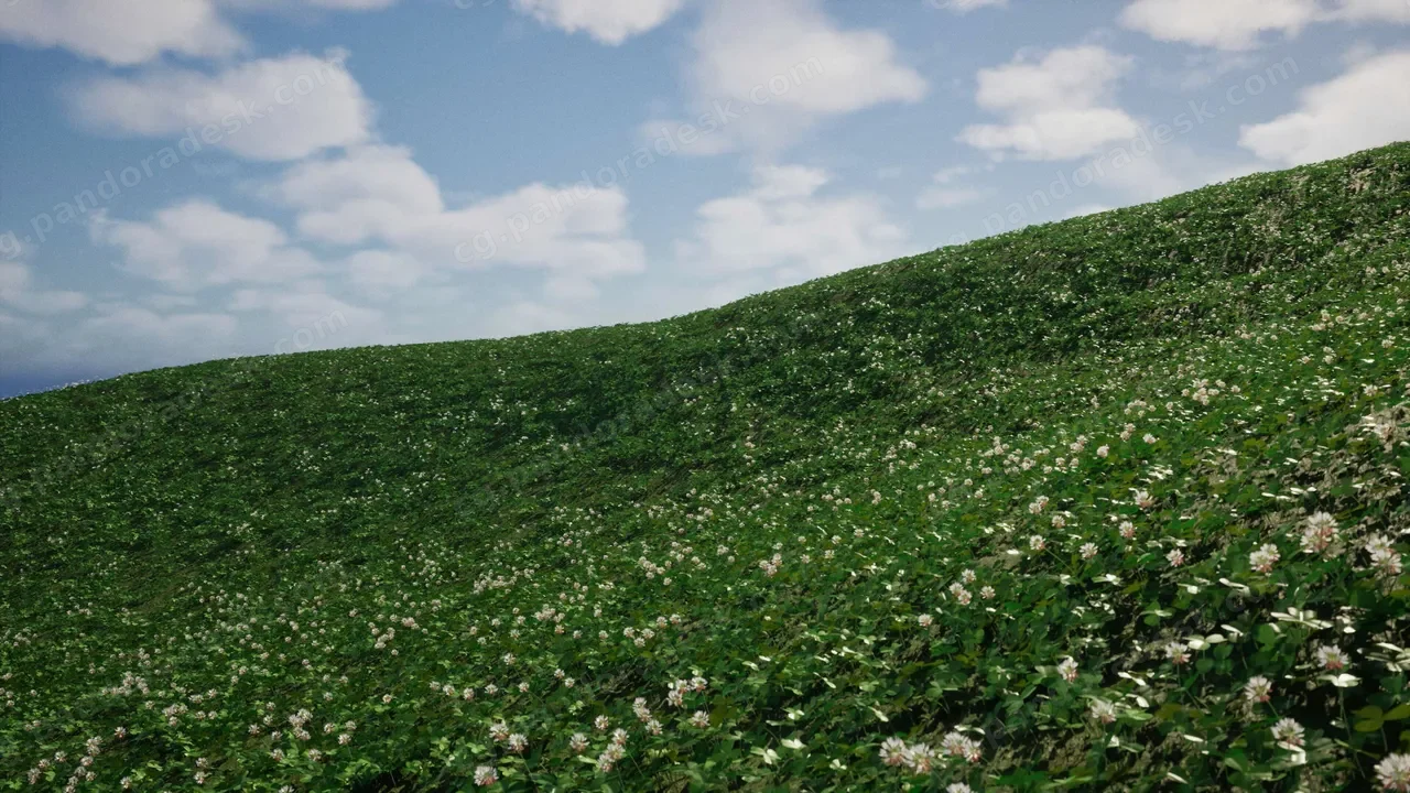 白三叶草 v1.2 White Clover v1.2 Nanite Foliage