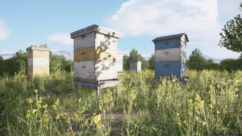 蜂巢蜂箱UE5环境养殖地建筑自然景观 Beehives Modular Pack