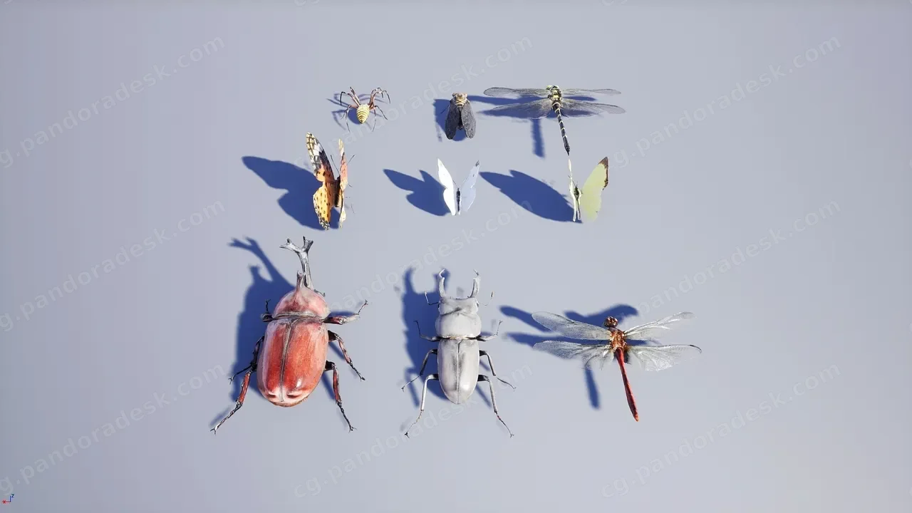 昆虫包 - Japanese Insect Pack