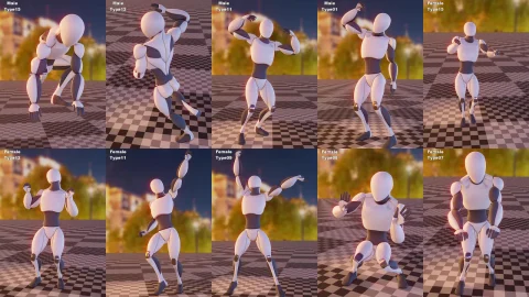 高质量动作捕捉动画-DJ Animations