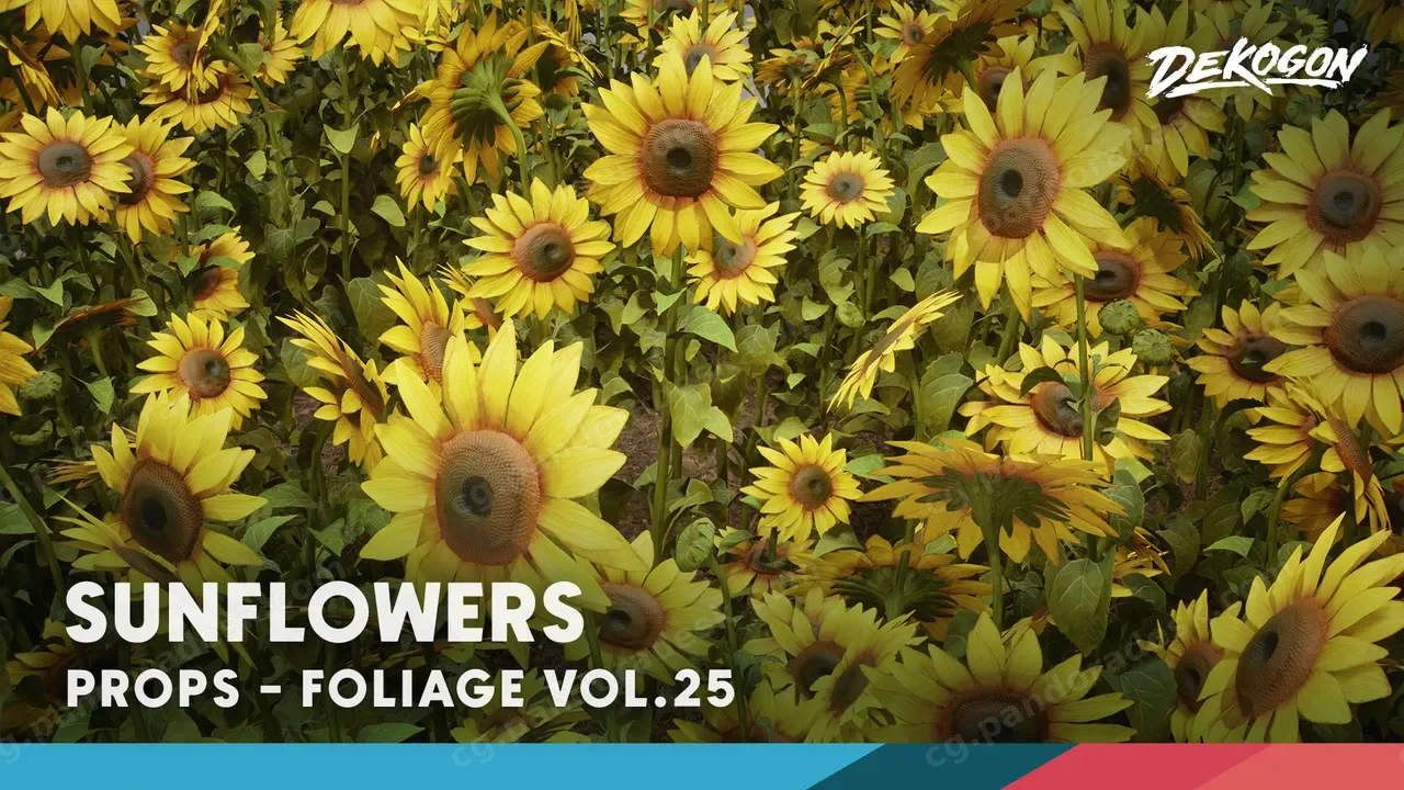 植物 VOL.25 - 向日葵 Foliage VOL.25 - Sunflowers