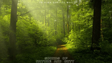 城市大自然声音音效 - Sound Of Nature and City SFX Pack