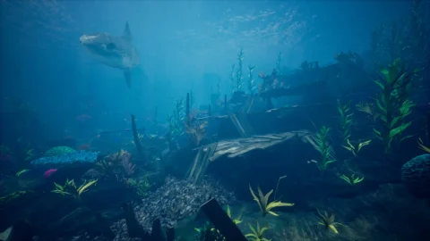 海洋环境珊瑚礁 - Ocean Environment Pack 2 - Coral Reef
