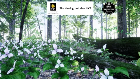 植物 35 AR VR Northeastern US Plants and Ecosystems