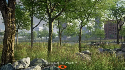 皂荚树 - Scanlabz Trees _ Honeylocust Tree