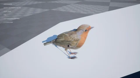 知更鸟-Robin