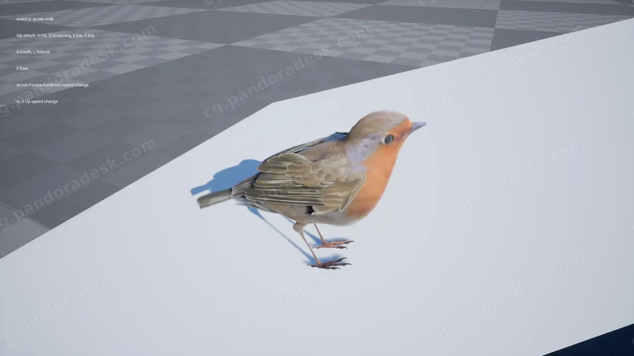 知更鸟-Robin