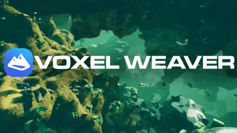 体素编织者高级体素插件 Voxel Weaver Advanced Voxel Plugin
