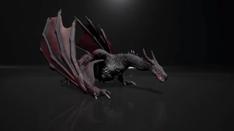 双足飞龙 - Dragon (Wyvern)