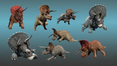 侏罗纪三角龙恐龙暴龙角色模型 Dinosaur - Triceratops