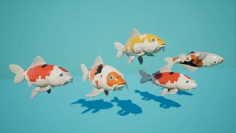 锦鲤日本鳗鱼 - Koi. Japanese carp