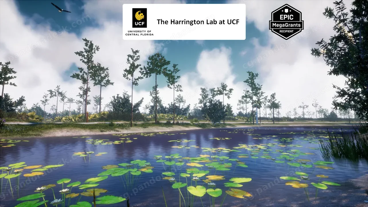 植物 35 AR VR Southeastern US Plants and Ecosystems
