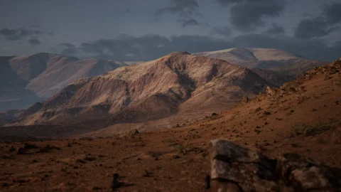 沙漠山脉套装 - Brushify Desert Mountains Pack