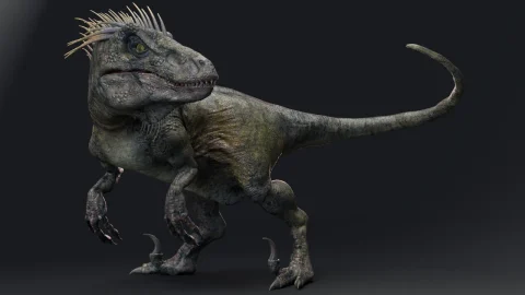 侏罗纪犹他迅猛龙恐龙动画模型 UtahRaptor