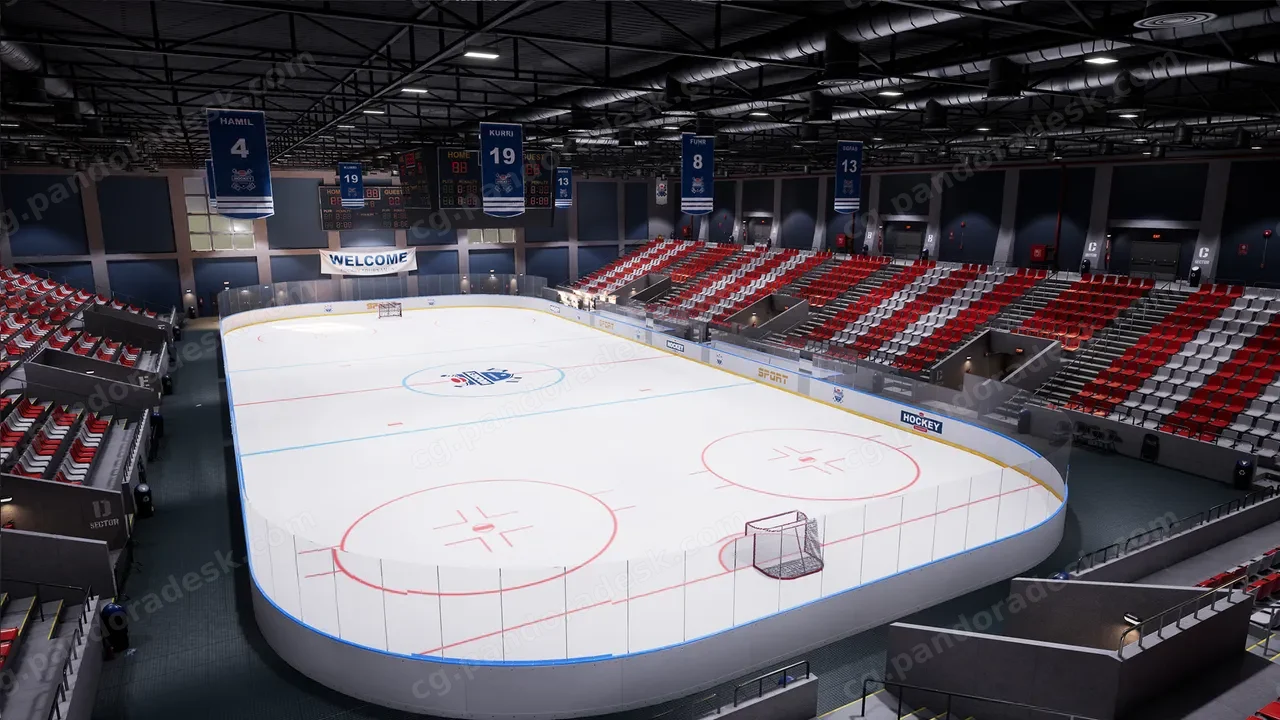 曲棍球场 - Hockey stadium