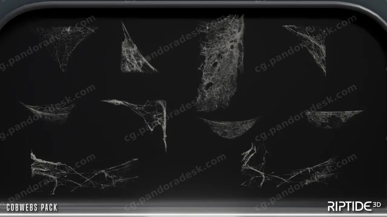 蛛网虫蛹蚕茧物件素材场景模型道具 Cobwebs Spider Webs Pack