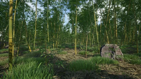 竹类植物包 - Bamboo Plants Pack