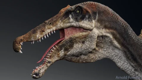 恐龙棘龙 - Dinosaur Spinosaurus