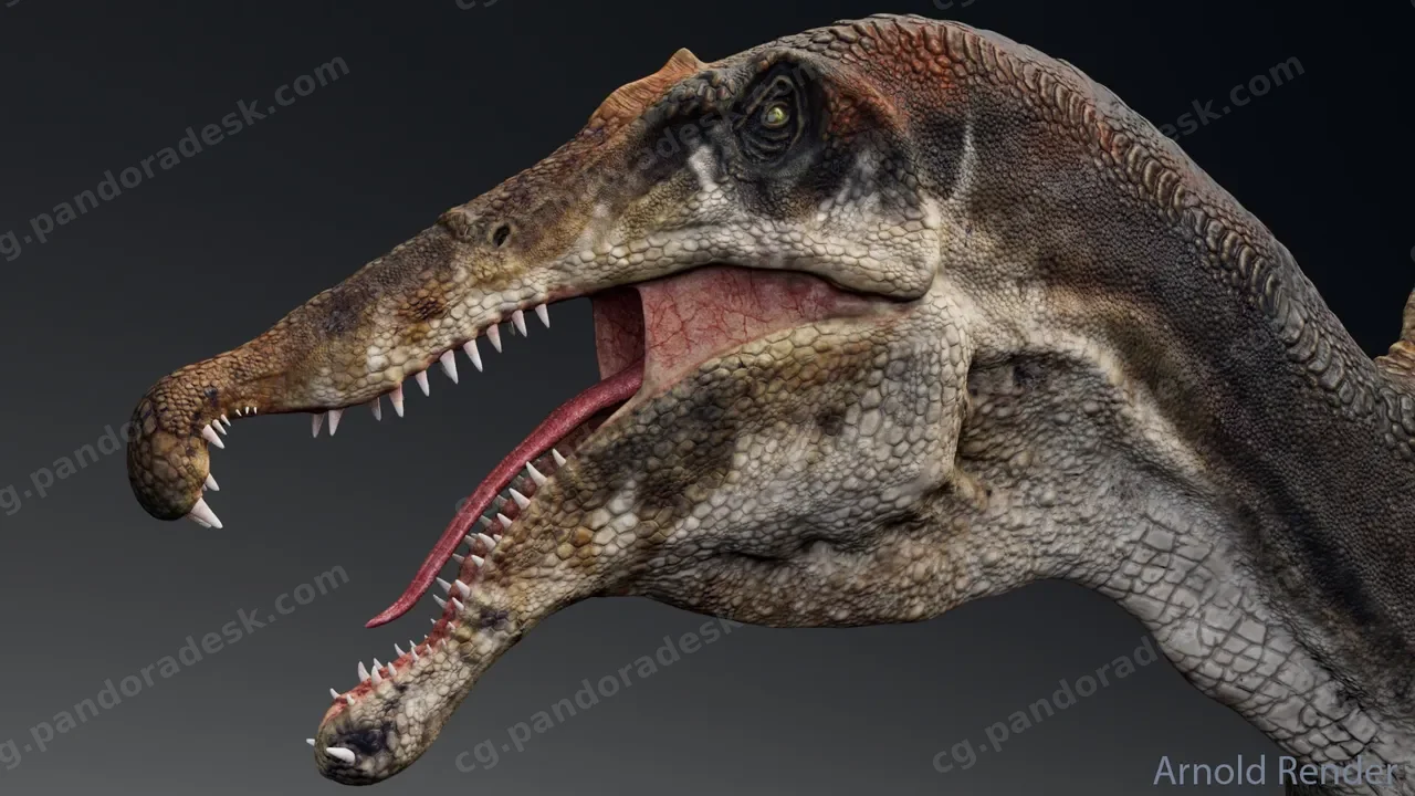 恐龙棘龙 - Dinosaur Spinosaurus