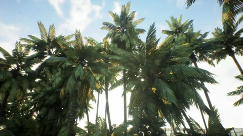棕榈树 - Real Palm Pack (Mobile/PC)