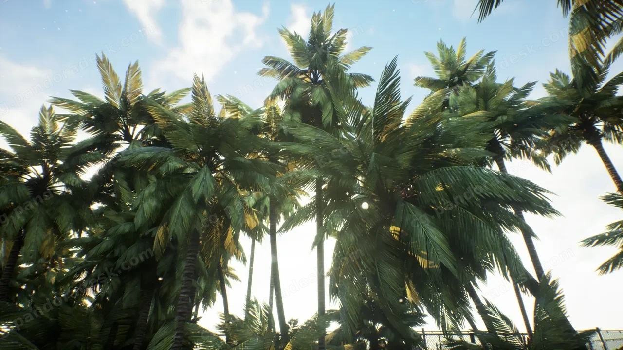 棕榈树 - Real Palm Pack (Mobile/PC)