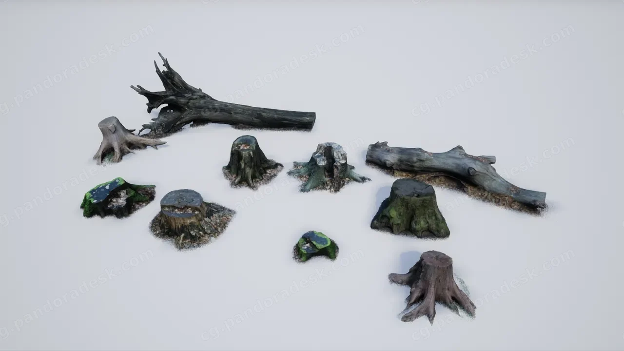 逼真树桩/树干扫描包 - Photo-scanned Realistic Tree Stumps / Trunks
