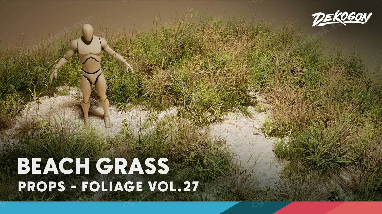 海滩草 - Foliage VOL.27 - Beach Grass