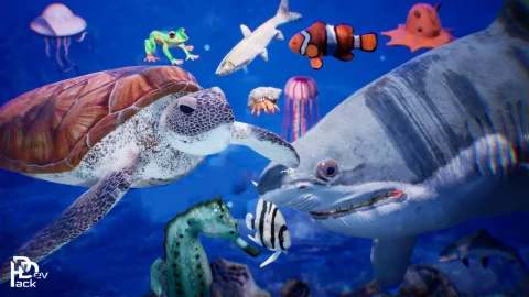 海洋动物鲨鱼海马海龟水母 Sea Animals 12 Meshes